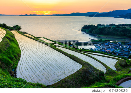江ノ串の棚田(水張風景)の日没後 【長崎県東彼杵郡】 江ノ串の棚田(水張風景)の日没後 【長崎県東彼杵郡】 67420326