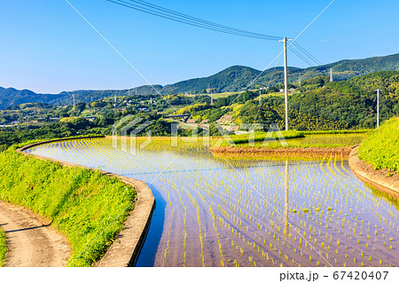 江ノ串の棚田(水張風景)の夕景 【長崎県東彼杵郡】 江ノ串の棚田(水張風景)の夕景 【長崎県東彼杵郡】 67420407