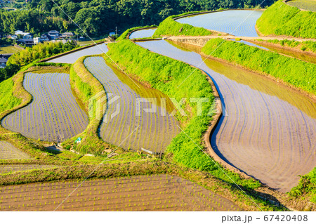 江ノ串の棚田(水張風景)の夕景 【長崎県東彼杵郡】 江ノ串の棚田(水張風景)の夕景 【長崎県東彼杵郡】 67420408