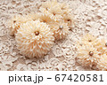 ベージュのつまみ細工の花 67420581