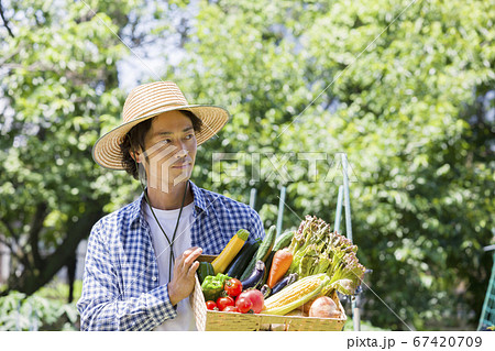 野菜を収穫する男性 67420709