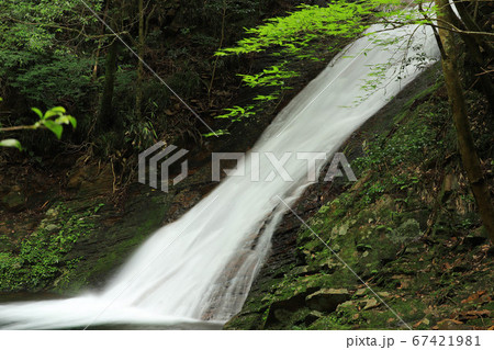 済浄坊の滝 済浄坊の滝 67421981