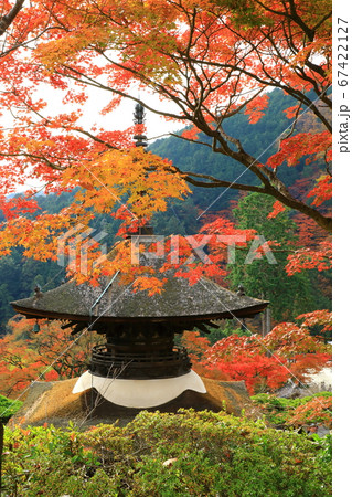 善峯寺 多宝塔と紅葉 善峯寺 多宝塔と紅葉 67422127