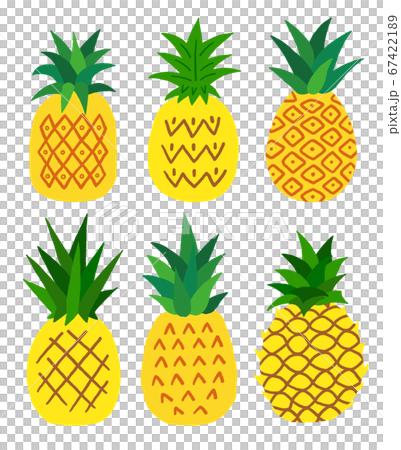 パイナップル パイン 手描き イラストのイラスト素材