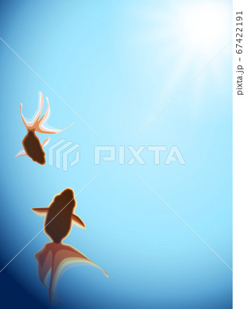 夏空を泳ぐ金魚 縦 のイラスト素材