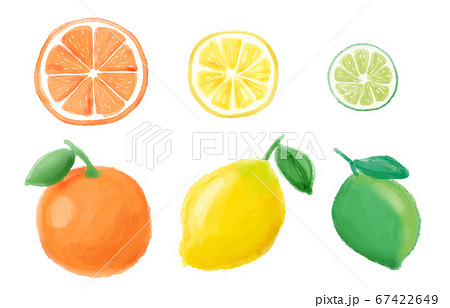 オレンジ レモン ライム 水彩イラストのイラスト素材