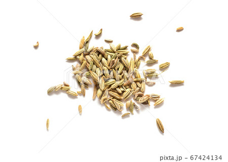 Fennel seeds Fennel seeds 67424134