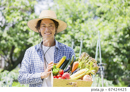 野菜を収穫する男性　農業後継者 67424425