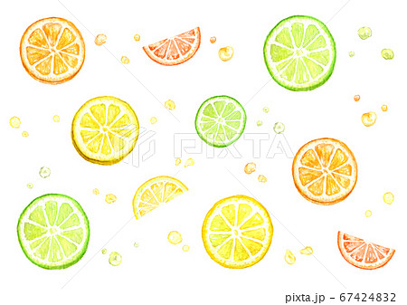 レモン ライム オレンジの水彩イラスト のイラスト素材