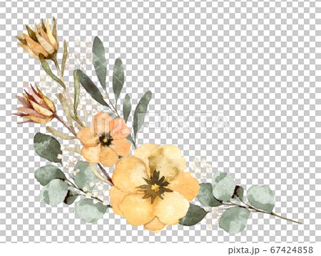 天然花朵和葉子的插圖素材 67424858