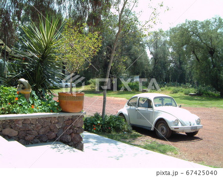 ビートルのメキシコの静かな風景 67425040
