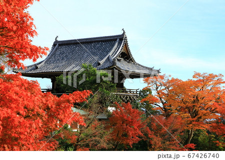 善峯寺　山門(楼門)と紅葉 67426740
