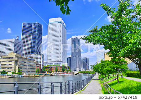新緑の横浜の遊歩道。みなとみらい地区の蔦に覆われた万国橋と高層ビル群と停泊中の屋形船 67427419