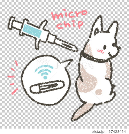 ペットのマイクロチップ装着による身元証明を促すイラスト 67428434