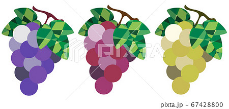 秋が旬 葉のついた可愛いブドウのイラスト素材 67428800 Pixta