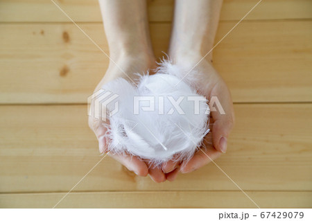 羽毛　手　包む 67429079