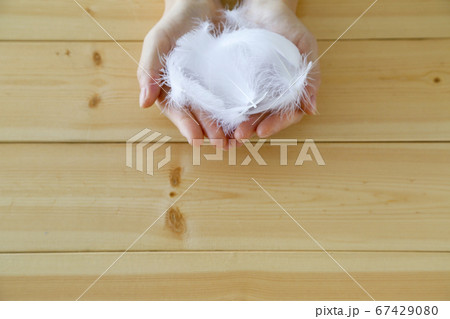 羽毛　手　包む 67429080