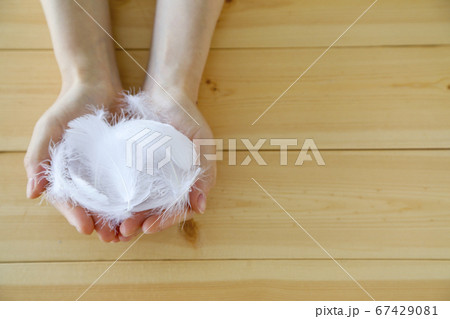 羽毛　手　包む 67429081
