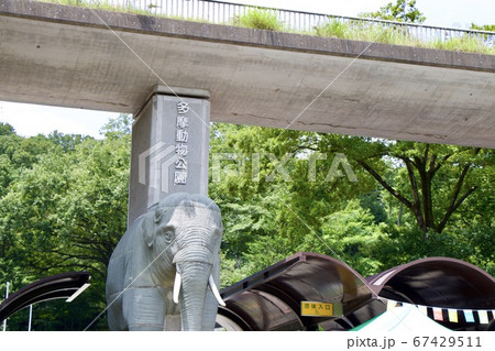 多摩動物公園 多摩動物公園 67429511