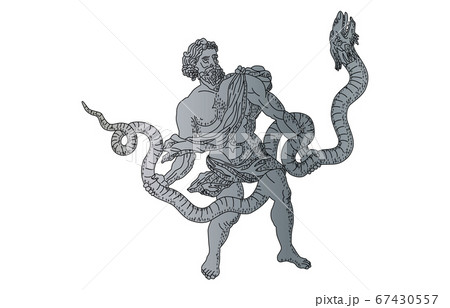 88星座影あり線なしへびつかい座 67430557