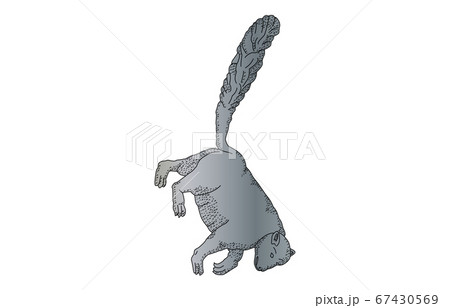 88星座影あり線なしこぐま座 67430569