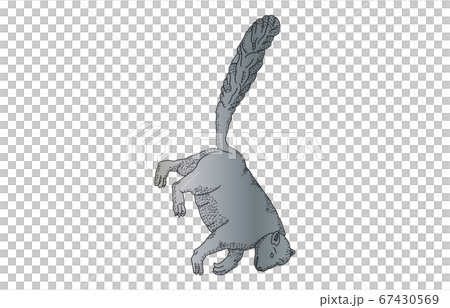 88星座影あり線なしこぐま座 67430569