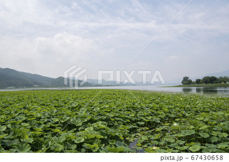 風景 自然 韓国 67430658