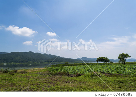 風景 自然 韓国 67430695