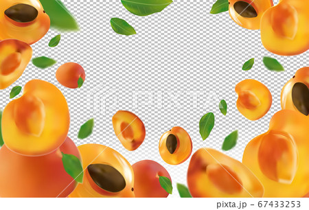 Apricot background. Fresh apricot with green leaf on transparent background. Flying apricot are whole and cut in half. Falling apricot from different angles. Nature product. Vector illustration. Apricot background. Fresh apricot with green leaf on transparent background. Flying apricot are whole and cut in half. Falling apricot from different angles. Nature product. Vector illustration. 67433253