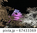 福島県会津鶴ケ城ライトアップ 67433369