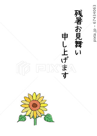 残暑見舞い(ひまわり) 67434063