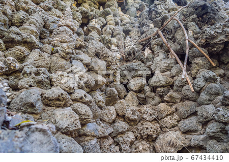 Chua Tu Van temple made of shells and corals or the dragon maze. Travel to Vietnam Concept Chua Tu Van temple made of shells and corals or the dragon maze. Travel to Vietnam Concept 67434410