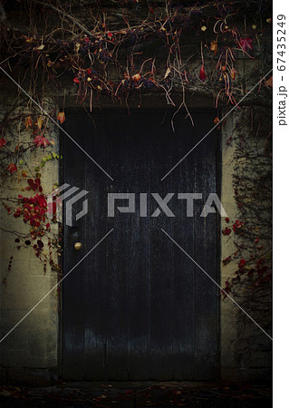 House facade with wooden blue door covered with wild berries and red vines. House facade with wooden blue door covered with wild berries and red vines. 67435249