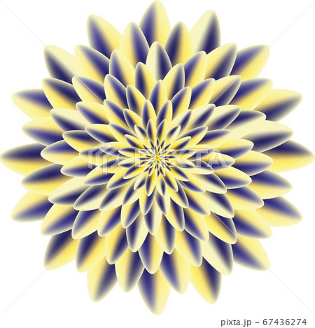 Yellow peony isolated on white background vector 67436274