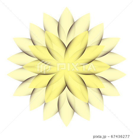 Beautiful Lotus Flower Color Wheel. Mandala. 67436277