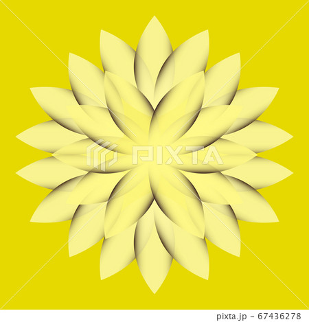Beautiful Lotus Flower Color Wheel. Mandala. 67436278