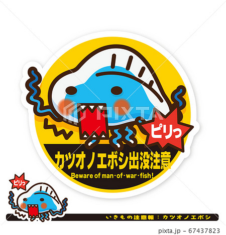 いきもの注意報：カツオノエボシ出没注意サイン 67437823