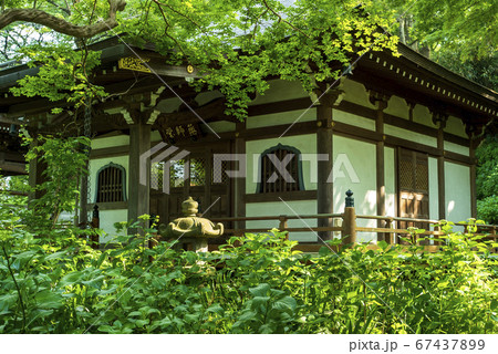 アジサイの寺　妙楽寺 67437899