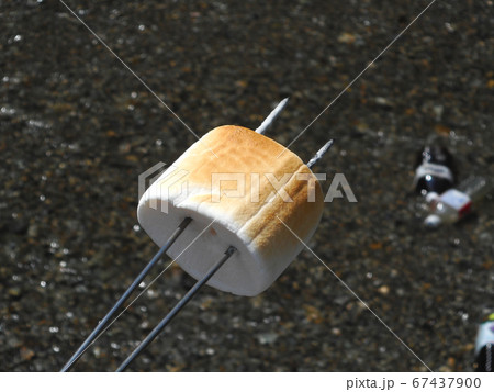 バーベキューの焼きマシュマロ 67437900