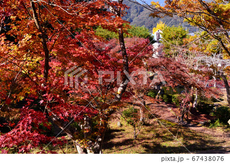 佐賀県多久市　紅葉の散策コースの景観 67438076