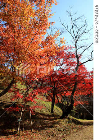 佐賀県多久市 紅葉の散策コースの景観 佐賀県多久市 紅葉の散策コースの景観 67438336