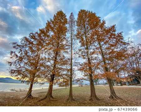 屋外 室外 快晴 67439066