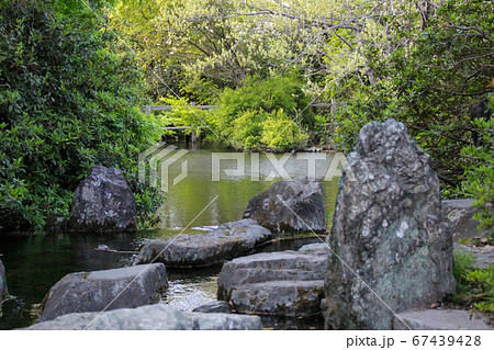 別府沼公園 別府沼公園 67439428