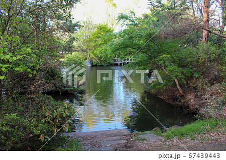 別府沼公園 別府沼公園 67439443
