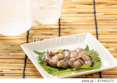 大葉 青じその葉 の上に たこわさび 夏の日本酒 冷酒 のおつまみイメージ の写真素材