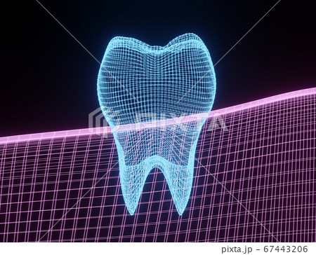 Tooth Wireframe Mesh. Neon grid molar. Connection Structure. Dental medicine, health concept. 3d render 67443206