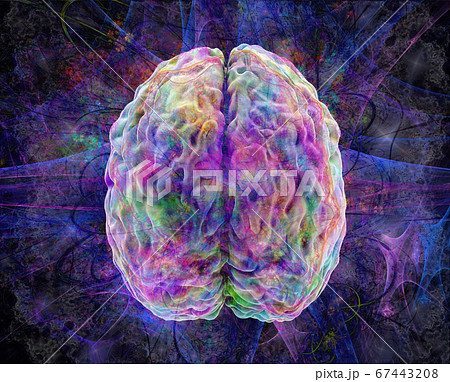 overmind, brain activity, colored human overbrain model, view top, 3d illustration 67443208
