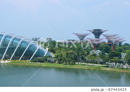 シンガポール・フライヤーから見たガーデンズ・バイ・ザ・ベイ シンガポール・フライヤーから見たガーデンズ・バイ・ザ・ベイ 67443425