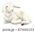 Watercolor illustration Lamb, Easter image, 67444133