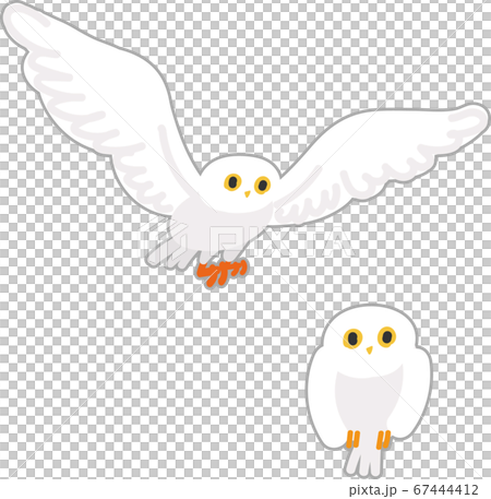 Flapping White Owl And Perching White Owl Stock Illustration